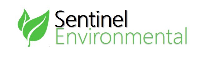 Sentinel_Logo